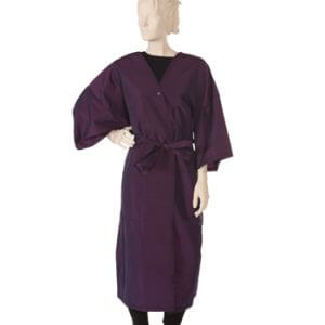 Client Gown Silkara Iridescent Fabric in Wineberry